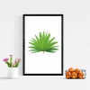 Tropical Leaf Poster 119 - Graphic design. Green leaf on a white background with a symmetrical shape and radiating elements.