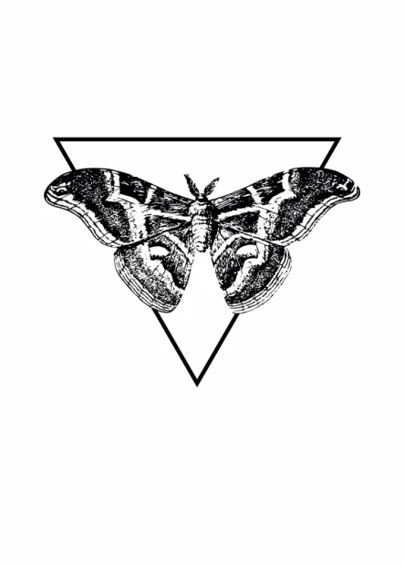 Moth poster 185 - Graphic design featuring a large moth in a triangle. Black and white artwork.