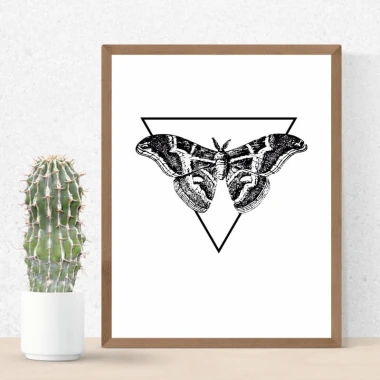 Moth poster 185 - Graphic design featuring a black moth in a triangle on a white background.