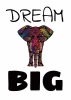 Dream Big 154 poster - Features a colorful elephant with patterns on a white background and inspirational text.
