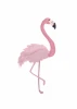 Flamingo poster 162 - Graphic design. Pink flamingo on a white background with long legs and a curved neck.