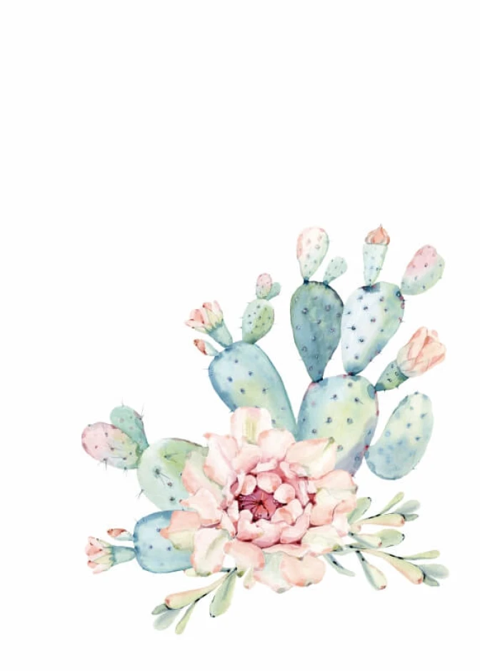 Cactus poster 164 - Graphic design featuring cacti in shades of green and pink, with flowers and leaves.