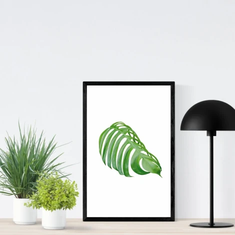 Leaf poster 177 - Graphic design. Green leaf on a white background with clear outlines and details.
