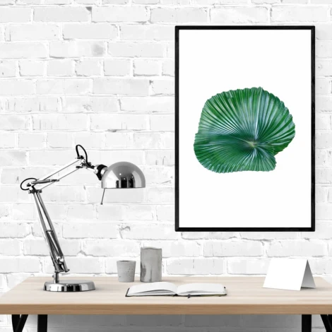 Leaf poster 179 - Graphic design. Green leaf on a white background with a rounded shape and clear veins.