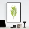 Leaf poster 180 - Graphic design. Green leaf on a white background with distinct, long, and slender leaflets.