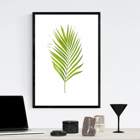 Leaf poster 180 - Graphic design. Green leaf on a white background with distinct, long, and slender leaflets.