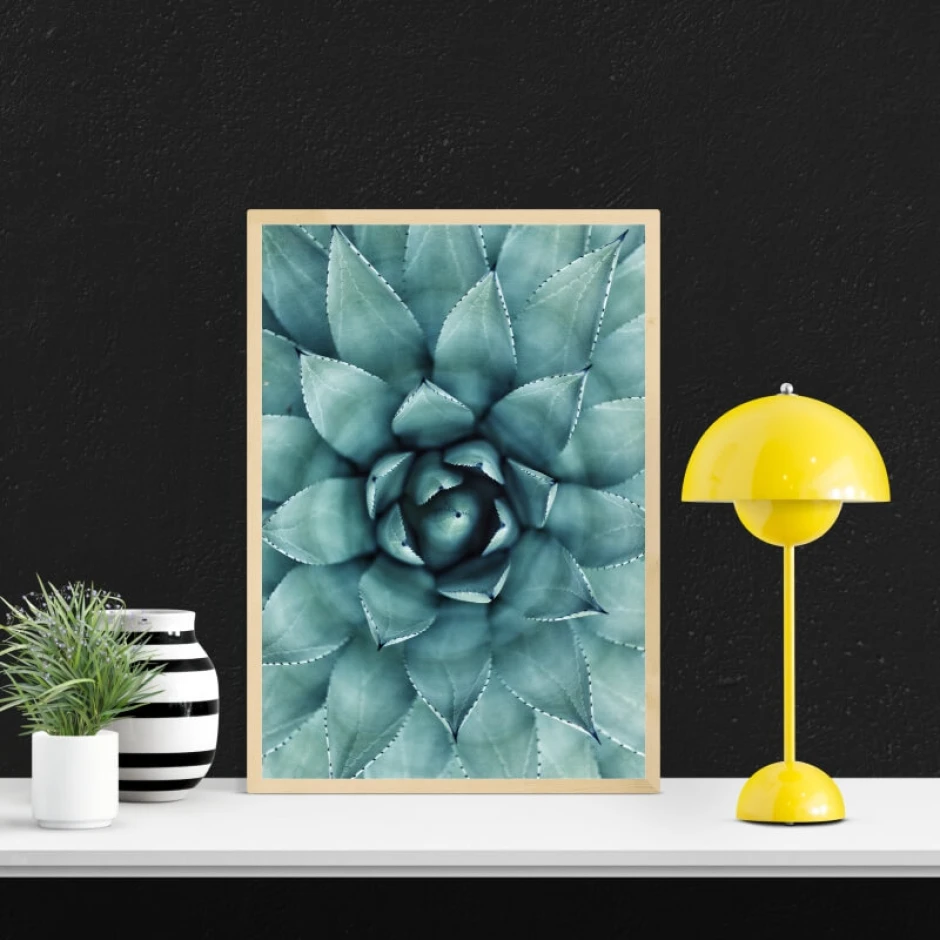 Succulent poster 174 - Graphic design. Green succulent with distinct leaves and delicate details.