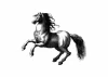 Horse poster 210 - Graphic design. Illustration of a horse in motion with detailed outlines and dynamic posture.