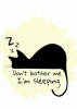 Cat poster 205 - Graphic design. Black cat lying down with the text "Don\'t bother me I\'m sleeping" on a light background.