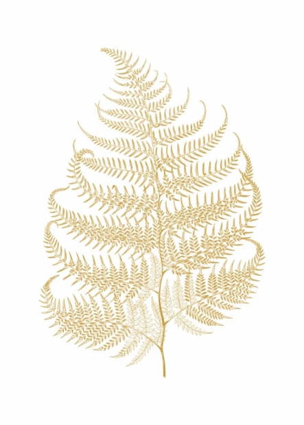 Leaf Poster 197 - Graphic design. Gold leaf with delicate details on a white background.
