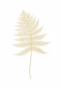 Leaf Poster 198 - Graphic design. Gold leaf on a white background with clear details and delicate veins.