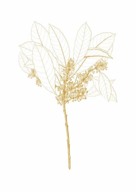 Leaf Poster 199 - Graphic design featuring a branch with leaves and flowers in shades of gold.
