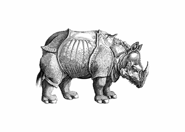 Rhino Poster 208 - Graphic design featuring an illustrated rhino with detailed skin and armor textures.
