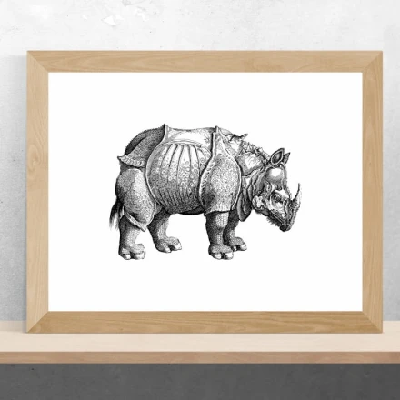 Poster Rhinoceros 208