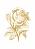 Rose poster 200 - Graphic design. Drawing of a rose with leaves in gold shades on a white background.