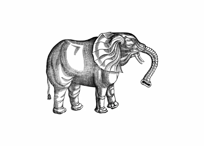 Elephant poster 207 - Graphic design featuring a standing elephant with clear body details.