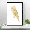 Owl poster 201 - Graphic design. Gold owl on a white background with clear feather details.