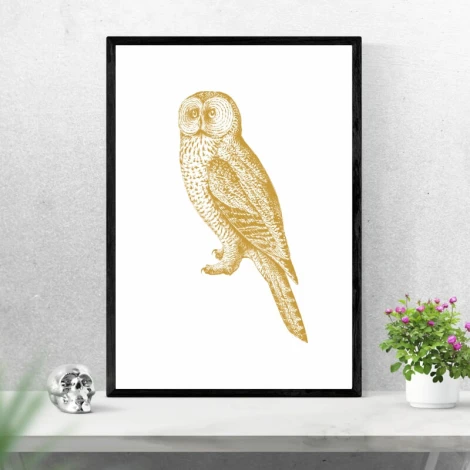 Owl poster 201 - Graphic design. Gold owl on a white background with clear feather details.