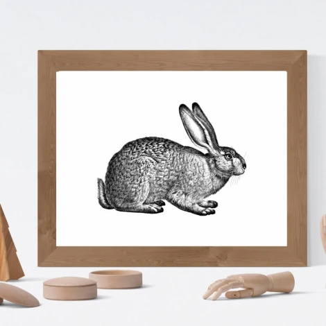 Rabbit poster 206 - Graphic design. Side view of a rabbit with detailed fur on a white background.