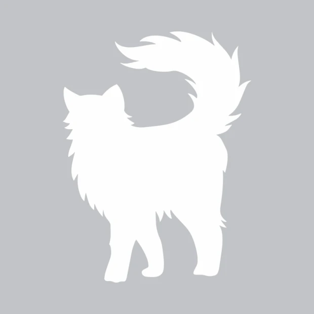 Cat-shaped white dry-erase board 373 with clear outlines and a graphic design.