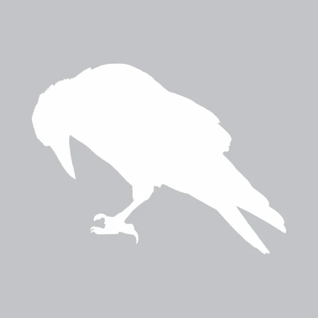 Dry-erase board with a graphic design featuring a white crow silhouette on a gray background.