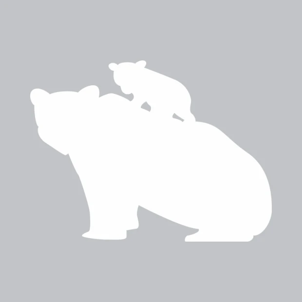 Dry-erase board with bear design 371 - Features silhouettes of two bears in various poses.