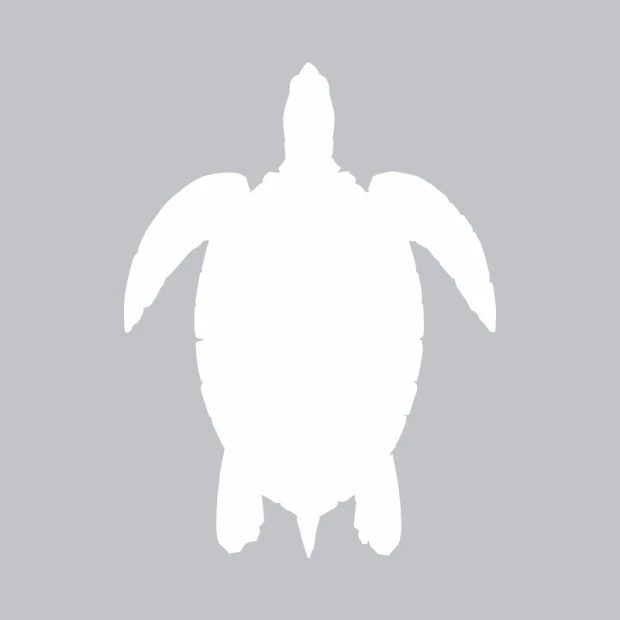 Turtle-shaped dry-erase board 365 with clear outlines and simple details.