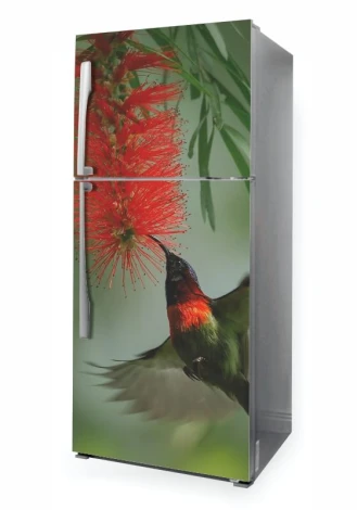Fridge wrap sticker P1110 - Colorful bird among flowers on a green background.