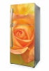 Refrigerator wrap sticker P1107 - Graphic design featuring a large orange rose on a yellow background.
