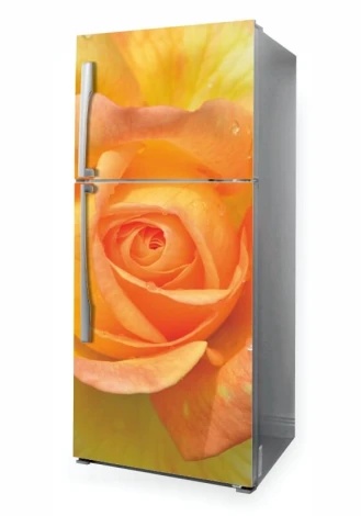Refrigerator wrap sticker P1107 - Graphic design featuring a large orange rose on a yellow background.