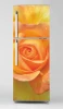 Fridge wrap sticker P1107 - Graphic design featuring a rose in shades of orange and yellow.