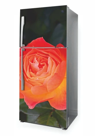 Fridge wrap sticker P1111 - Graphic design. Pink rose on a dark background with green leaves.