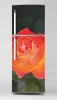 Fridge wrap sticker P1111 - Graphic design. Pink rose on a green background with leaves.