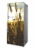 Fridge wrap sticker P1118 - Graphic design featuring grasses in golden shades against a sunset background.
