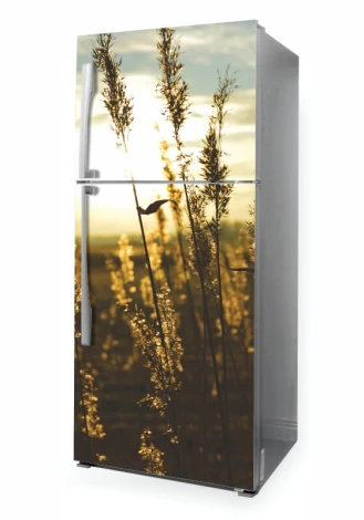 Fridge wrap sticker P1118 - Graphic design featuring grasses in golden shades against a sunset background.