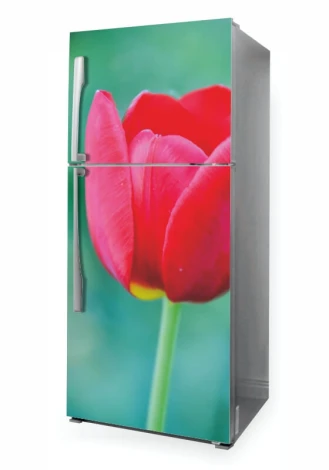Fridge wrap sticker tulip P1115 - Graphic design. Red tulip on green background with clear petal details.