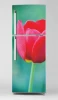 Refrigerator wrap sticker tulip P1115 - Graphic design. Red tulip on green background with clear petal details.