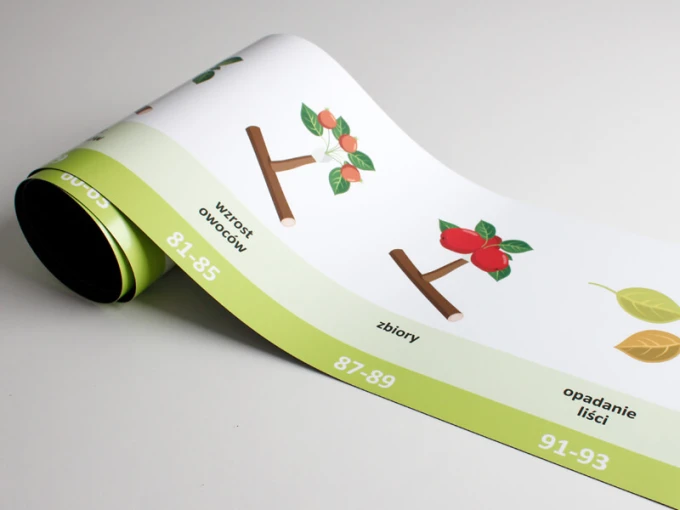 Custom printed magnet - Graphic design featuring fruit trees, leaves, and numbers.