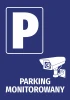 Surveillance Parking Sticker - Graphic design with a large P on a blue background, next to a security camera.