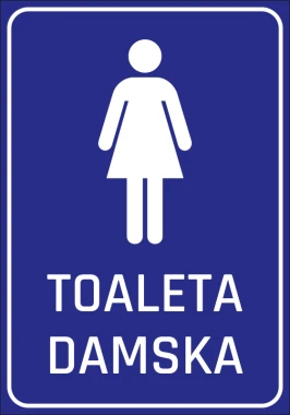 Women\'s Toilet Sticker - Graphic Design. Simple silhouette of a woman on a blue background with text.
