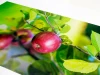 Custom large wall sticker - Graphic design. Green leaves and a red apple on a branch.