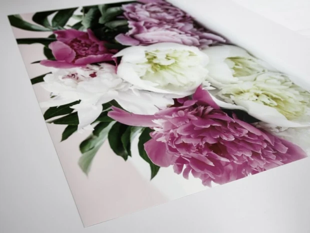 Custom large wall sticker - Graphic design. Flowers in shades of pink and white with green leaves.