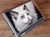 Print your own laptop sticker - Graphic design featuring a cat with green eyes on a white fur background.