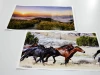Print your own laptop sticker - Graphic design featuring two galloping horses in a landscape with a sunset.