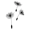 Dandelion wall stencil 2529 - Graphic design featuring three dandelions with long stems and delicate, radiating hairs.