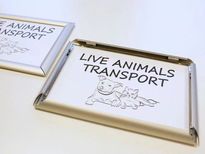 OWZ Frame - Graphic design featuring a dog and cat next to the text LIVE ANIMALS TRANSPORT.
