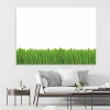 Dry-erase board 01X 070 wet grass - Graphic design featuring green grass on a white background.