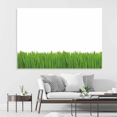 Dry-erase board 01X 070 wet grass - Graphic design featuring green grass on a white background.