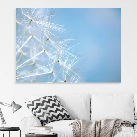 Dry-erase board 01X 072 Dmuchawiec - Graphic design with delicate fluffy seeds on a blue background.