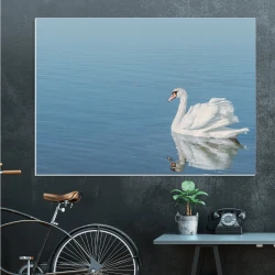 Dry-erase board 198 swan - Office arrangement. Walls in shades of gray and blue.